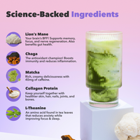 10-Pack of Mushroom Matcha+ showing ingredients like Lion’s Mane, Chaga, Matcha, Collagen Protein, and L-Theanine in a layered green drink.
